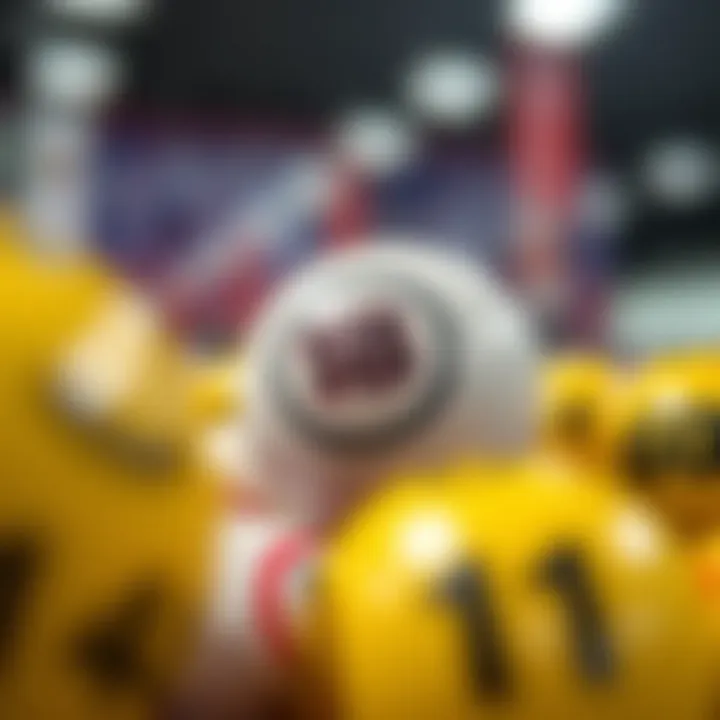 Factors influencing Lotto number selection