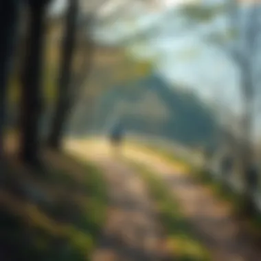 Scenic running trails in Gyeonggi-do