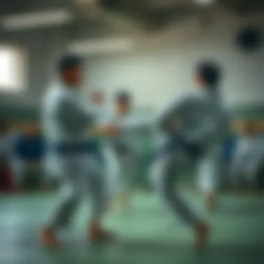 Training session showcasing various judo techniques being practiced