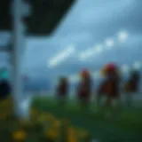 Forecast of tomorrow's racing weather