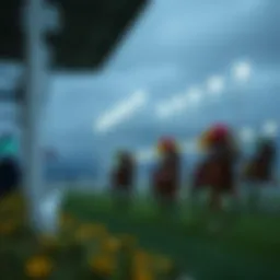 Forecast of tomorrow's racing weather