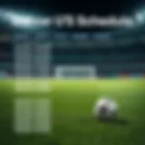 Graphic representation of South Korea's soccer schedule overview